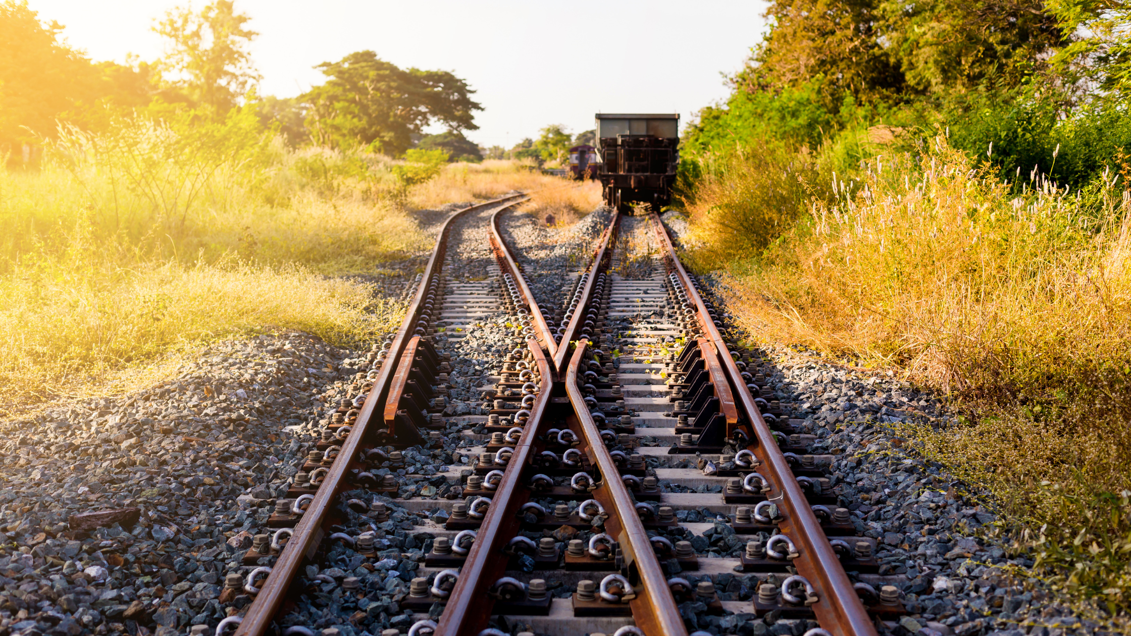 Policy Overhaul. Inseparable's Blueprint for Mental Health Reform