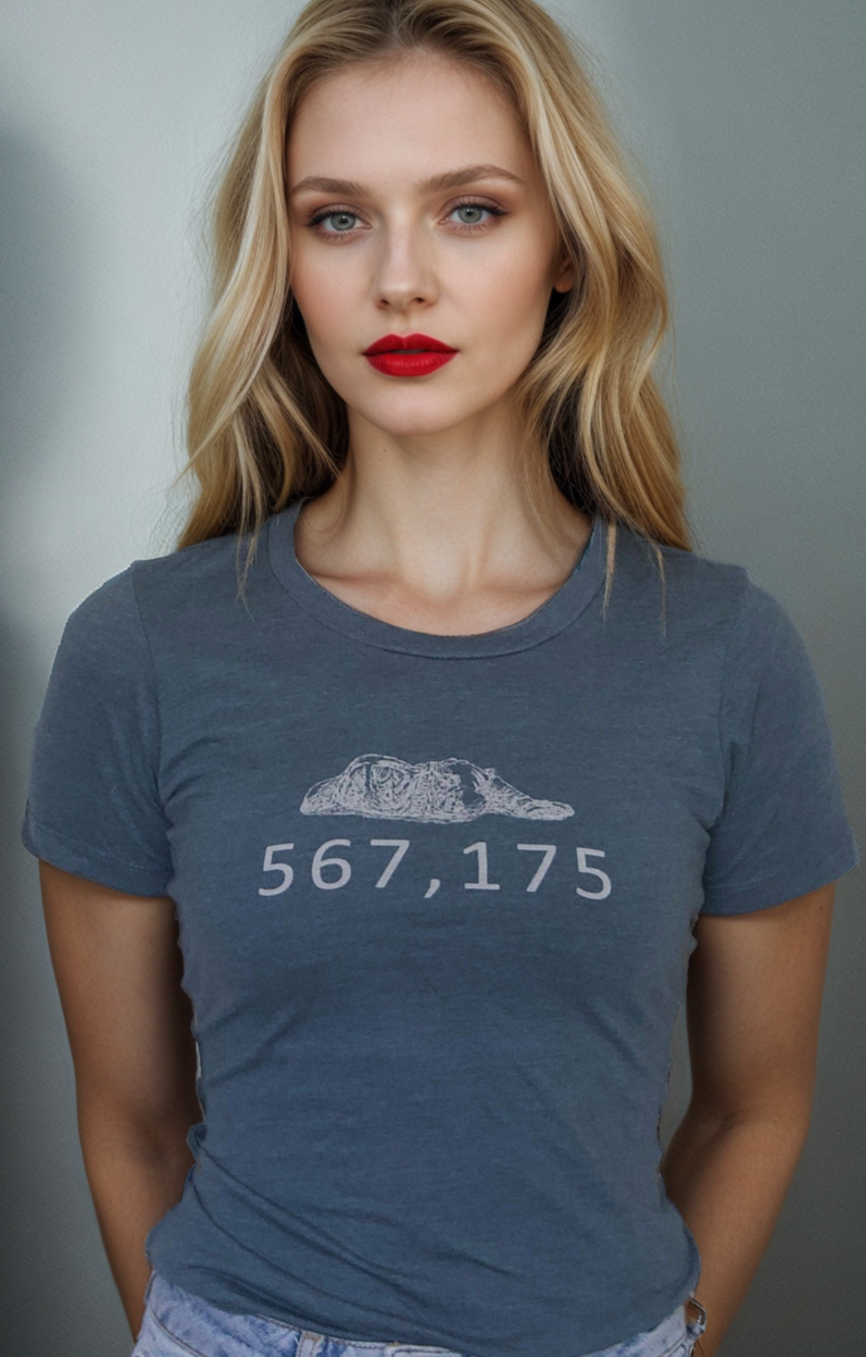 567,175 Homelessness Advocacy Women's T-Shirt_Involvd Social Advocacy Clothing Brand