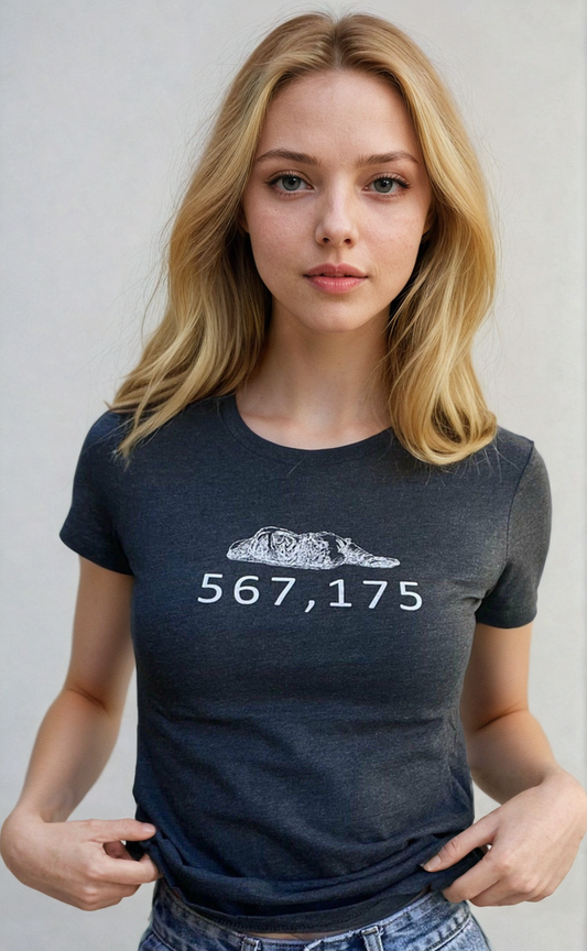 567,175 Homelessness Advocacy Women's T-Shirt